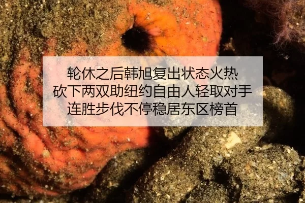 lun-xiu-zhi-hou-han-xu-fu-chu-zhuang-tai-huo-re-kan-xia-liang-shuang-zhu-niu-yue-zi-you-ren-qing-qu-dui-shou-lian-sheng-2-597.jpg